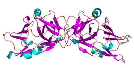 2xvo_crispr